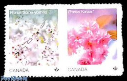 Delcampe - Canada 2026 Cherry Blossom 2v S-a, Mint NH, Nature - Flowers & Plants - Ungebraucht