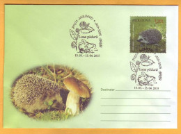 Delcampe - 2015 2011 Moldova Moldavie  Special Cancellations "Month Of The Forest" Orhei Hedgehogs, Mushrooms, Snails - Nager