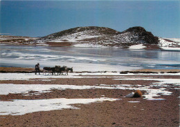 Delcampe - CPM Bolivia Sur Lipez Laguna Tototal - Bolivia