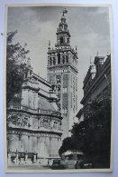 Delcampe - ESPAGNE - ANDALUCIA - SEVILLA - La Giralda - Sevilla