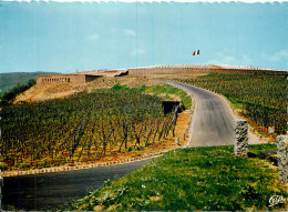 Delcampe - SIGOLSHEIM NECROPOLE 1ere ARMEE FRANCAISE - Guerre 1939-45