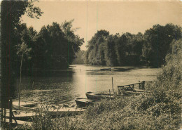 Delcampe - 95 VETHEUIL BORDS DE LA SEINE - Vetheuil