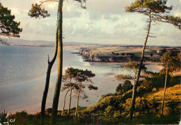 Delcampe - 29 LA PLAGE DU RIS ET BAIE DE DOUARNENEZ - Douarnenez
