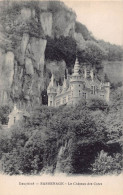 Delcampe - SASSENAGE       CHATEAU DES COTES - Sassenage