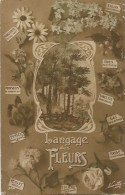 Delcampe - CPA Ancienne  LE LANGAGE Des FLEURS - Blumen