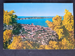 Delcampe - 1967 - Golfe-Juan  Vue Générale - MAP - Vallauris