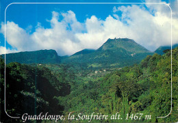 Delcampe - CPM Guadeloupe Saint-Claude - Saint Martin
