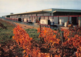 Delcampe - COGNAC Chai De Depart Zone Industrielle 18(scan Recto-verso) MA1725 - Cognac