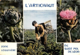 Delcampe - L ARTICHAUT De SAINT POL DE LEON Zone Legumiere 8(scan Recto-verso) MA1722 - Saint-Pol-de-Léon
