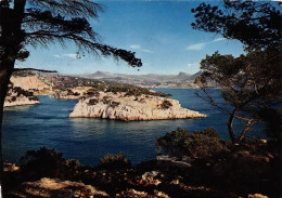 Delcampe - CASSIS SUR MER Entree De La Calanque De Port Miou 17(scan Recto-verso) MA1723 - Cassis