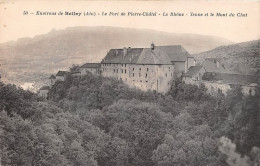 Delcampe - Environs De BELLEY Le Fort De Pierre Chatel Le Rhone Yenne Et Le Mont Chat 8(scan Recto-verso) MA1758 - Belley