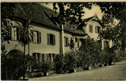 Delcampe - Mammern - Mammern