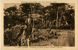 Delcampe - Cote D Ivoire - Elfenbeinküste