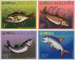 Delcampe - 63290 MNH MALAWI 1974 35 ANIVERSARIO DE LA SOCIEDAD DE PESCA - Malawi (1964-...)