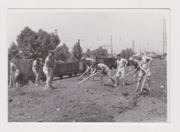 Delcampe - Few Shirtless Men Hard Working, Scene, Vintage Orig Photo 8.9x6.3cm. /85608 - Anonymous Persons