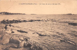 Delcampe - 83-SAINT RAPHAEL-N°3881-C/0365 - Saint-Raphaël