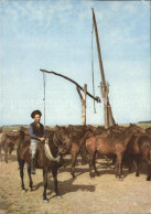 Delcampe - Hortobagy Reiter Puszta - Ungarn