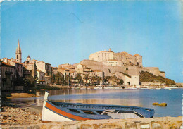 Delcampe - CPM Calvi Le Port Et La Citadelle - Calvi