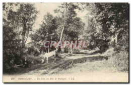 Delcampe - Houlgate CPA Un Coin Du Bois De Boulogne (cheval Et Homme) - Houlgate