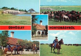 Delcampe - CPM Greetings From Horlobagy - Ungarn