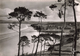 Delcampe - 29 DOUARNENEZ LA PLAGE DU RIS - Douarnenez