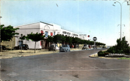 Delcampe - Narbonne - Plage - Aude -- CPA - Narbonne