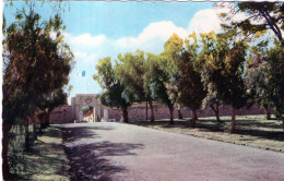 Delcampe - MARNIA, MAGHNIA : L'entrée Des Casernes. - Tlemcen