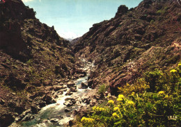 Delcampe - CORSCIA, CORTE, SCALA SANTA REGINA, GOLO RIVER, MOUNTAINS, IRIS ED., POSTCARD, FRANCE - Corte