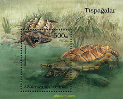 Delcampe - 83850 MNH AZERBAIYAN 1995 TORTUGAS - Altri & Non Classificati