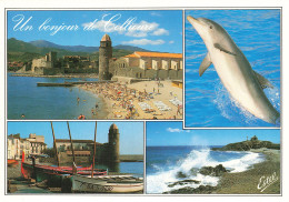 Delcampe - 66 COLLIOURE - Collioure
