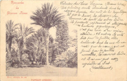Delcampe - ARGENTINE RECUERDO DE BUENOS AIRES  PARQUE LEZAMA - Argentinien