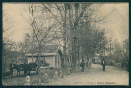 Delcampe - VILA POUCA DE AGUIAR - PEDRAS SALGADAS - Avenida Da Padaria. Carte Postale - Vila Real