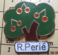Delcampe - Pin812f    MARQUES ARBRE VERT CERISIER CERISE R PERIé C'est Fou ! - Marques