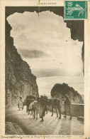 Delcampe - ALGERIE  CONSTANTINE  ROUTE DE PHILIPPEVILLE AU CLAIR DE LUNE - Konstantinopel