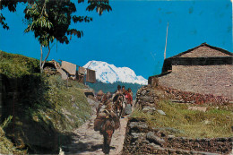 Delcampe - ASIE NEPAL - Nepal