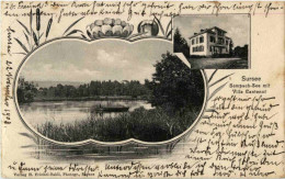 Delcampe - Sursee - Villa Cantenot - Sursee