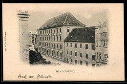 Delcampe - AK Dillingen, Königliches Gymnasium Mit Strassenpartie - Dillingen