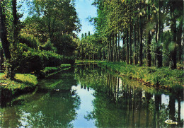 Delcampe - 80 HAM PARC DE LOISIRS - Ham
