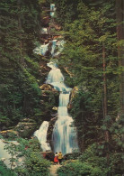 Delcampe - Triberg Im Schwarzwald Kaskaden 36 (scan Recto-verso)MA1988Ter - Triberg