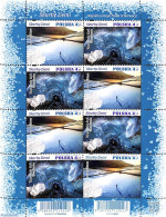 Delcampe - Poland 2021 Salt M/s, Joint Issue Croatia, Mint NH, Various - Joint Issues - Neufs