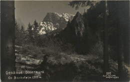 Delcampe - Admont/Gesäuse/Steiermark Und Umgebung - Gesäuse: Gr.Buchstein - Gesäuse