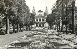 Delcampe - CPM Monte Carlo Les Jardins Le Casino - Exotischer Garten