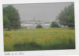 Delcampe - 44 ANCENIS -vallée De La Loire - Ancenis