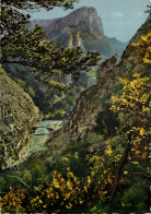 Delcampe - CPM Les Gorges Du Verdon Le Pont Du Tusset Sous Rougon - Gorges