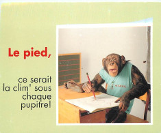 Delcampe - Carte Postale - Animaux - Singes - Chimpanzé - Carte à Message - Collection Five Seasons - Carte Neuve - CPM - Voir Scan - Singes