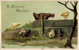 Delcampe - Gaufré CPA Glückwunsch Ostern, Küken, Henne, Zaun, Käfer - Ostern