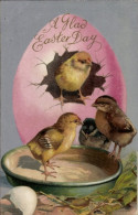Delcampe - CPA Glückwunsch Ostern, Küken Am Fressnapf, Buntes Osterei - Ostern