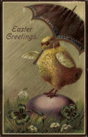 Delcampe - Gaufré CPA Glückwunsch Ostern, Küken, Regenschirm, Osterei, Glücksklee - Ostern