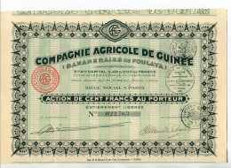 Delcampe - COMPAGNIE AGRICOLE De GUINÉE (Bananeraies De Foulaya) - Non Classés