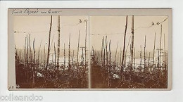 Delcampe - Vue Stéréoscopique Stéréo ITALIE Caprée Capri Vue Sur La Mer Rome - Unclassified